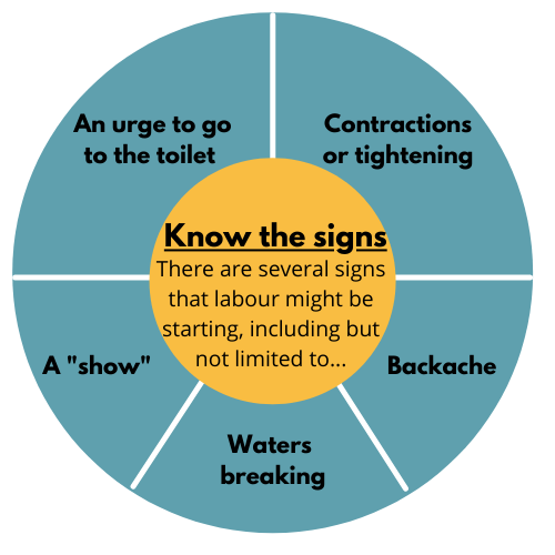 Know the signs wheel.png